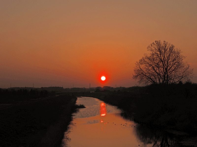 d0290240_08014274.gif