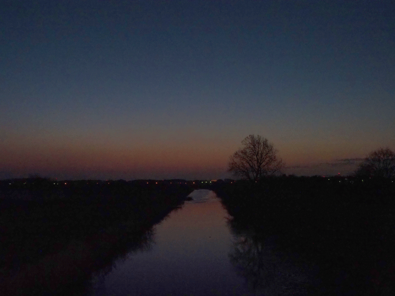 d0290240_08015995.gif