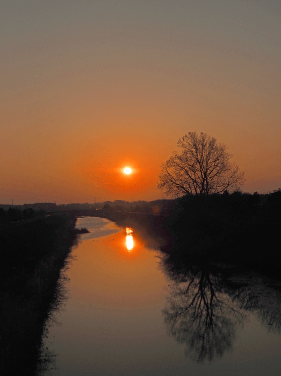 d0290240_08035012.gif