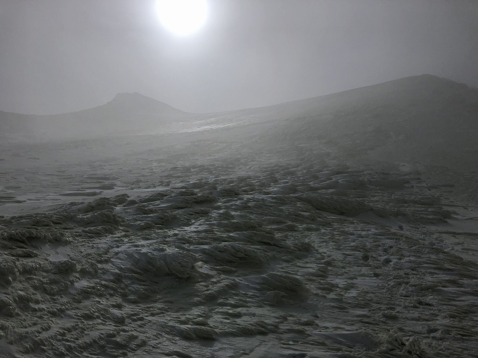 b0187142_22052509.jpg