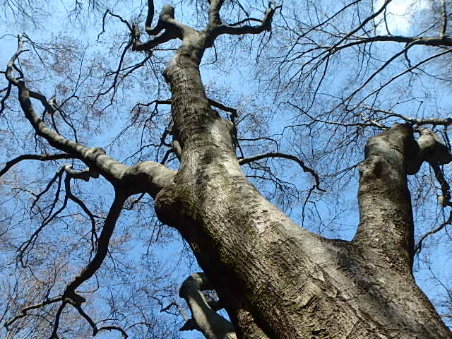 f0334143_21481725.jpg