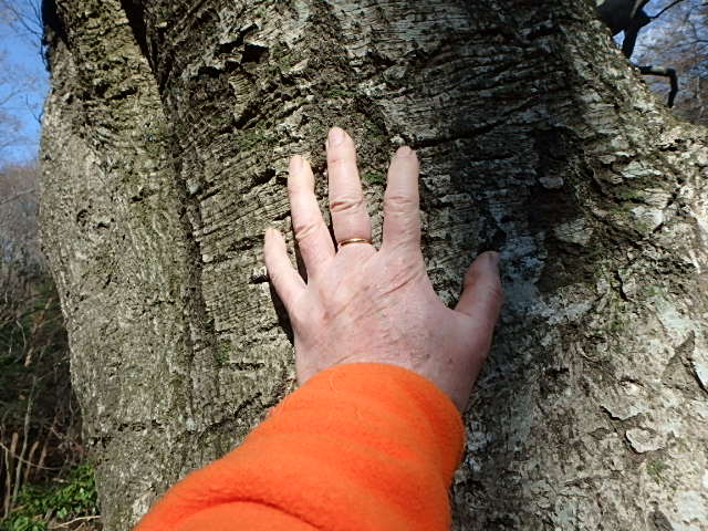 f0334143_2148390.jpg
