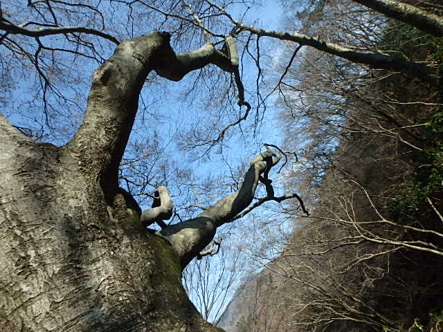 f0334143_21494186.jpg