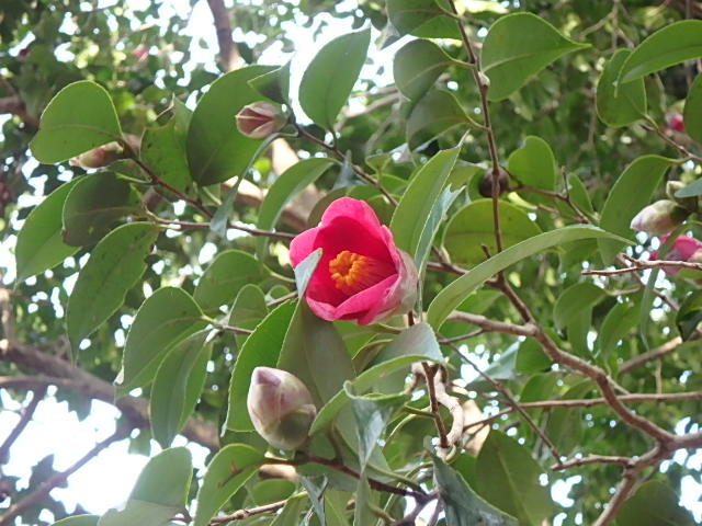 f0334143_21512522.jpg
