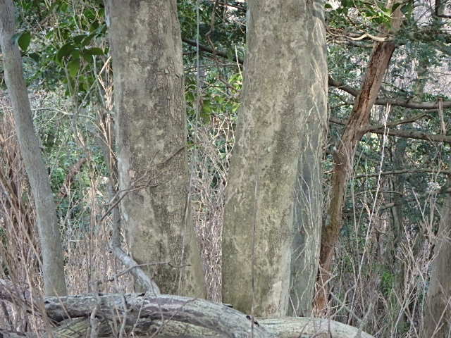 f0334143_21513770.jpg