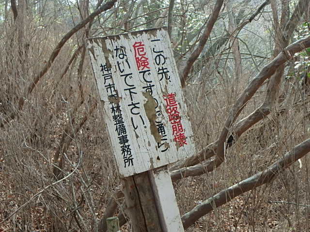 f0334143_2158204.jpg