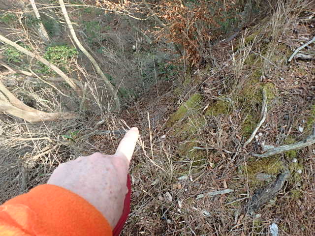 f0334143_21585999.jpg