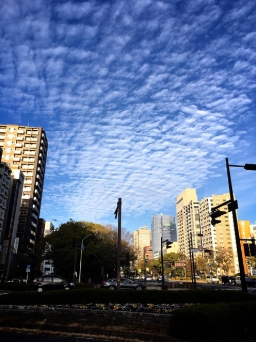 f0191444_15434114.jpg