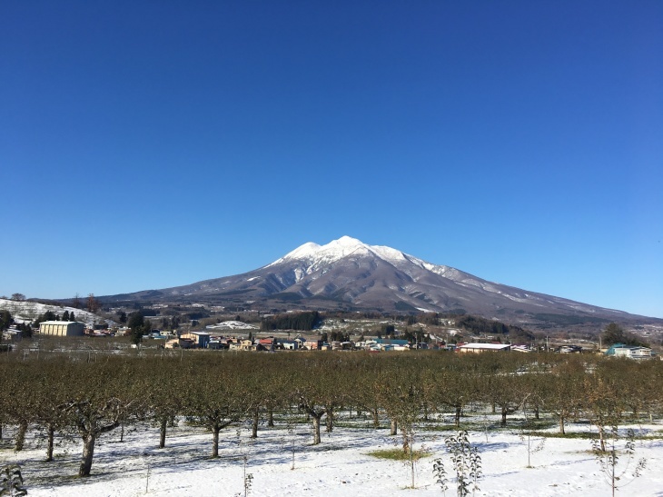 ゴールデンウィーク期間中のご案内_b0111551_22263563.jpeg