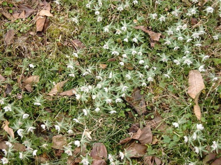 d0154954_12012518.jpg