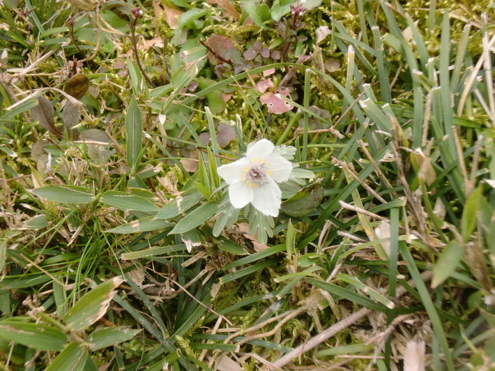 d0154954_12015356.jpg