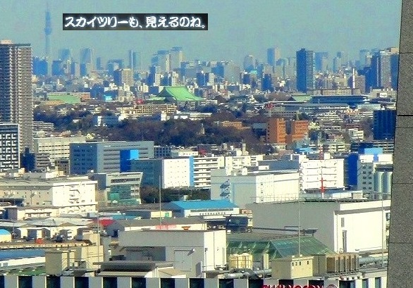 ＜2019年３月＞待ち遠しい桜の季節！職場「横浜」周辺の撮り溜めた春風景_c0119160_06154225.jpg