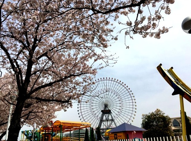 ＜2019年３月＞待ち遠しい桜の季節！職場「横浜」周辺の撮り溜めた春風景_c0119160_06234257.jpg