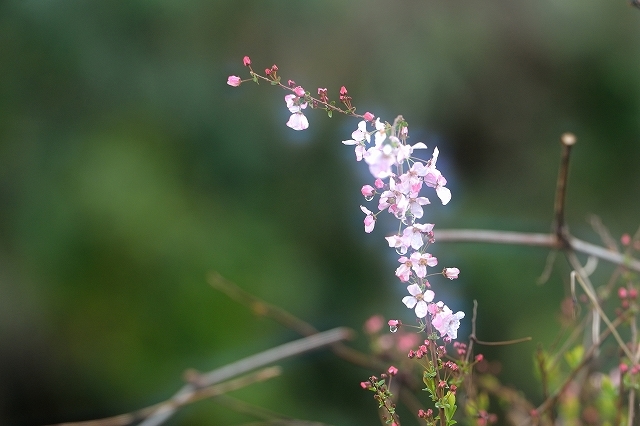 a0016161_21505900.jpg
