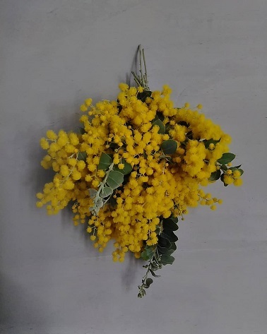 c0172261_14395345.jpg