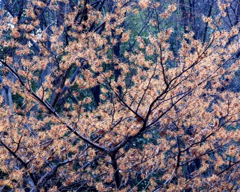 c0305565_17394652.jpg