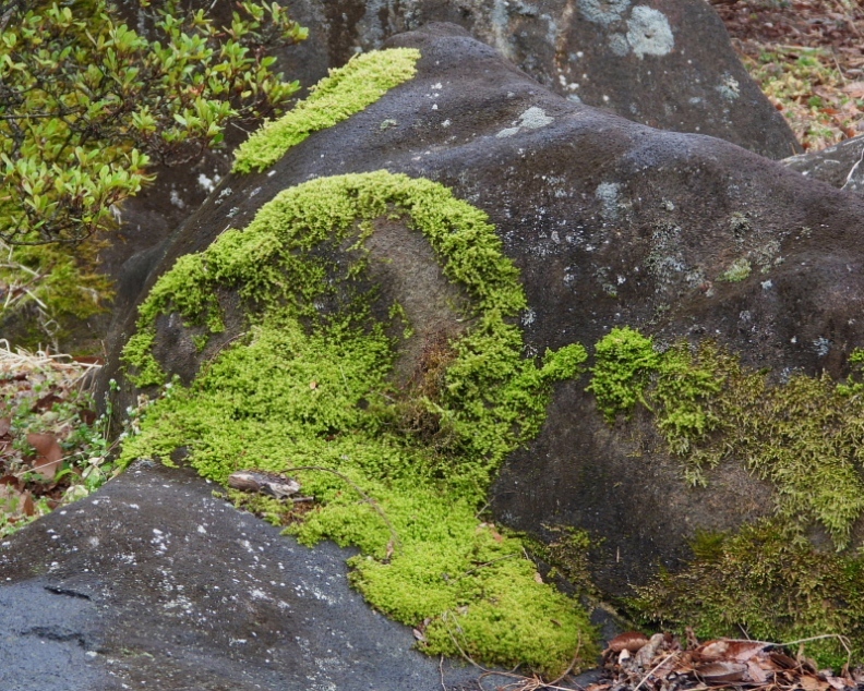 c0305565_17405736.jpg
