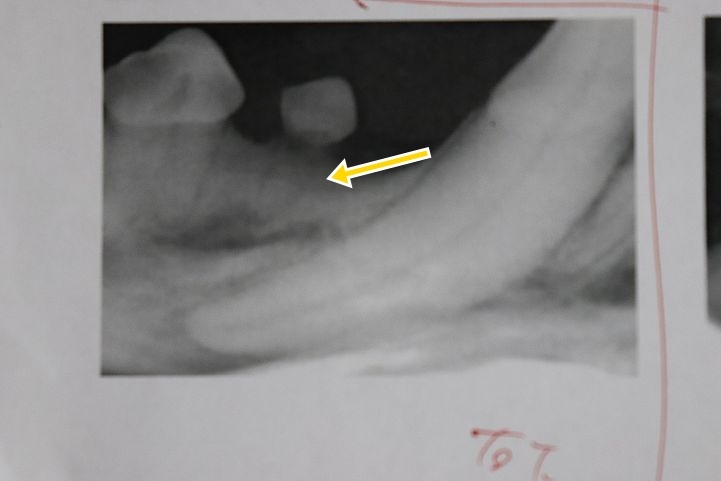 b0111376_15291472.jpg