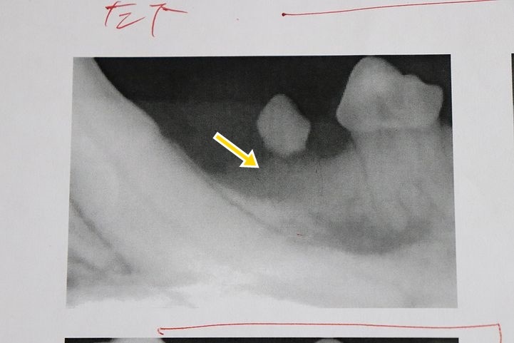 b0111376_15292507.jpg