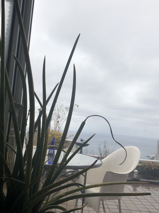 b0098584_20181501.jpeg