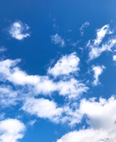 b0067598_23053734.jpg