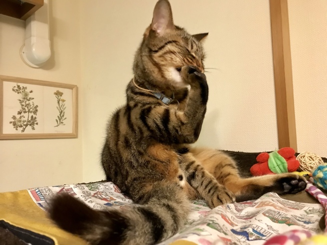 c0362401_19254225.jpeg