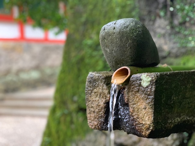 a0050302_22434319.jpg