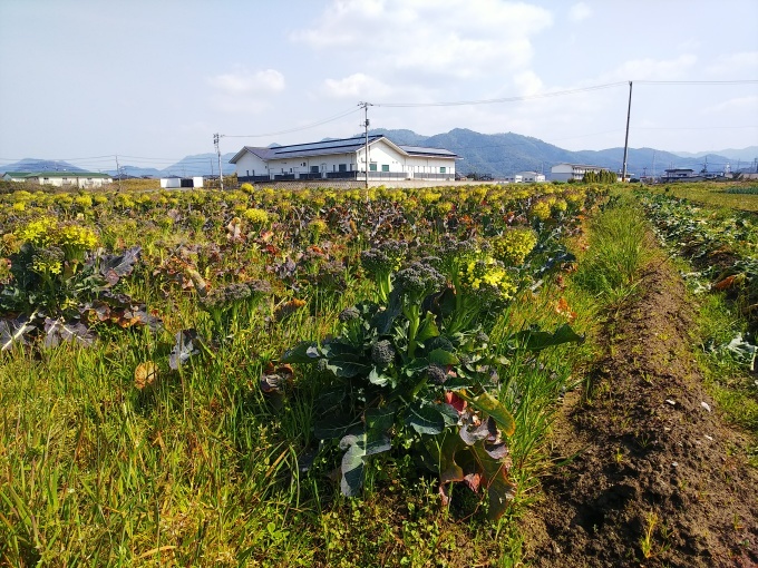 春の足音 あっあれは何❓_b0239402_14322373.jpg
