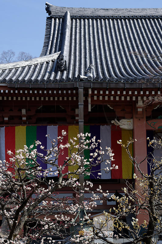 f0032011_19421135.jpg