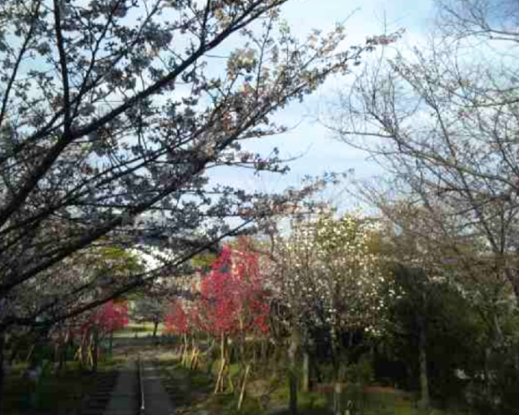 a0098418_14430738.png