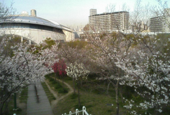 a0098418_14430803.png