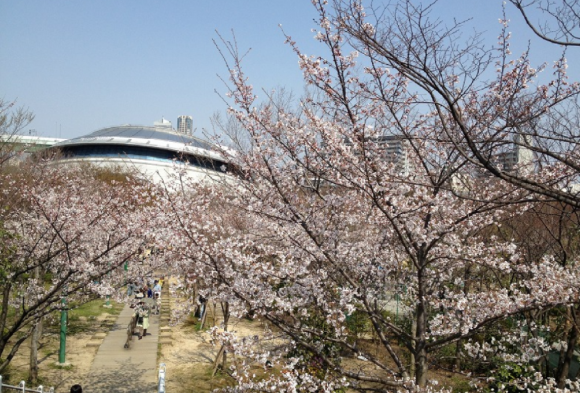 a0098418_14430897.png