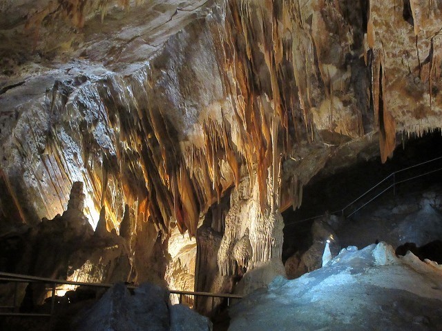 うるさかった！鍾乳洞見学とトカゲの棲むブルーレイク　　　　　Jenolon Caves & Blue Lake in Blue Mountains NP_f0308721_12502745.jpg