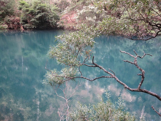 うるさかった！鍾乳洞見学とトカゲの棲むブルーレイク　　　　　Jenolon Caves & Blue Lake in Blue Mountains NP_f0308721_12550843.jpg