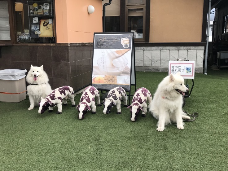 f0234023_22504476.jpeg