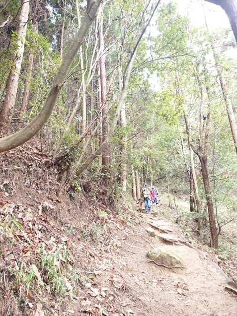 b0211925_21245530.jpg