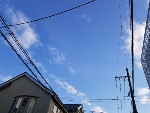 雨上りの黄昏の匂い_e0016828_10041803.jpg