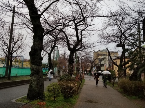 雨上りの黄昏の匂い_e0016828_10060908.jpg
