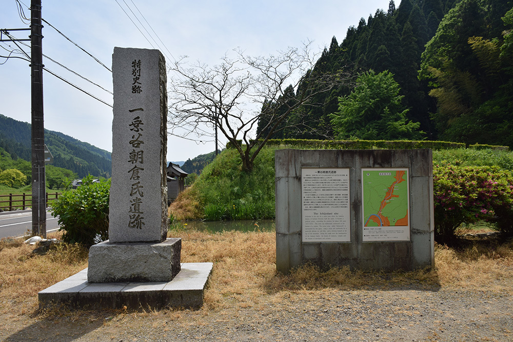 一乗谷朝倉氏遺跡を歩く。　その１　「下城戸跡～武家屋敷跡」_e0158128_17222185.jpg