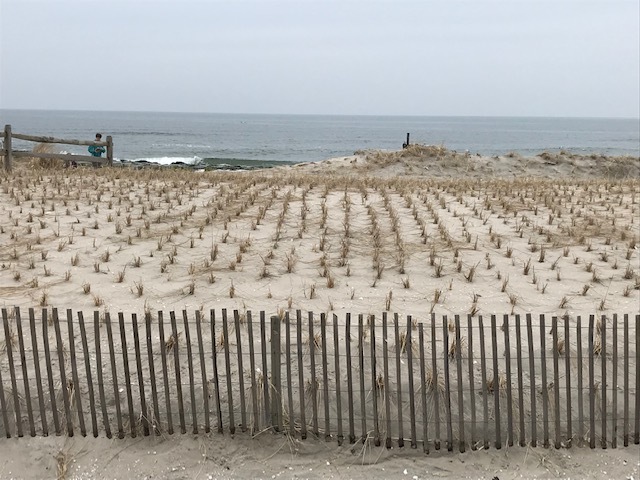 d0269832_07092969.jpeg