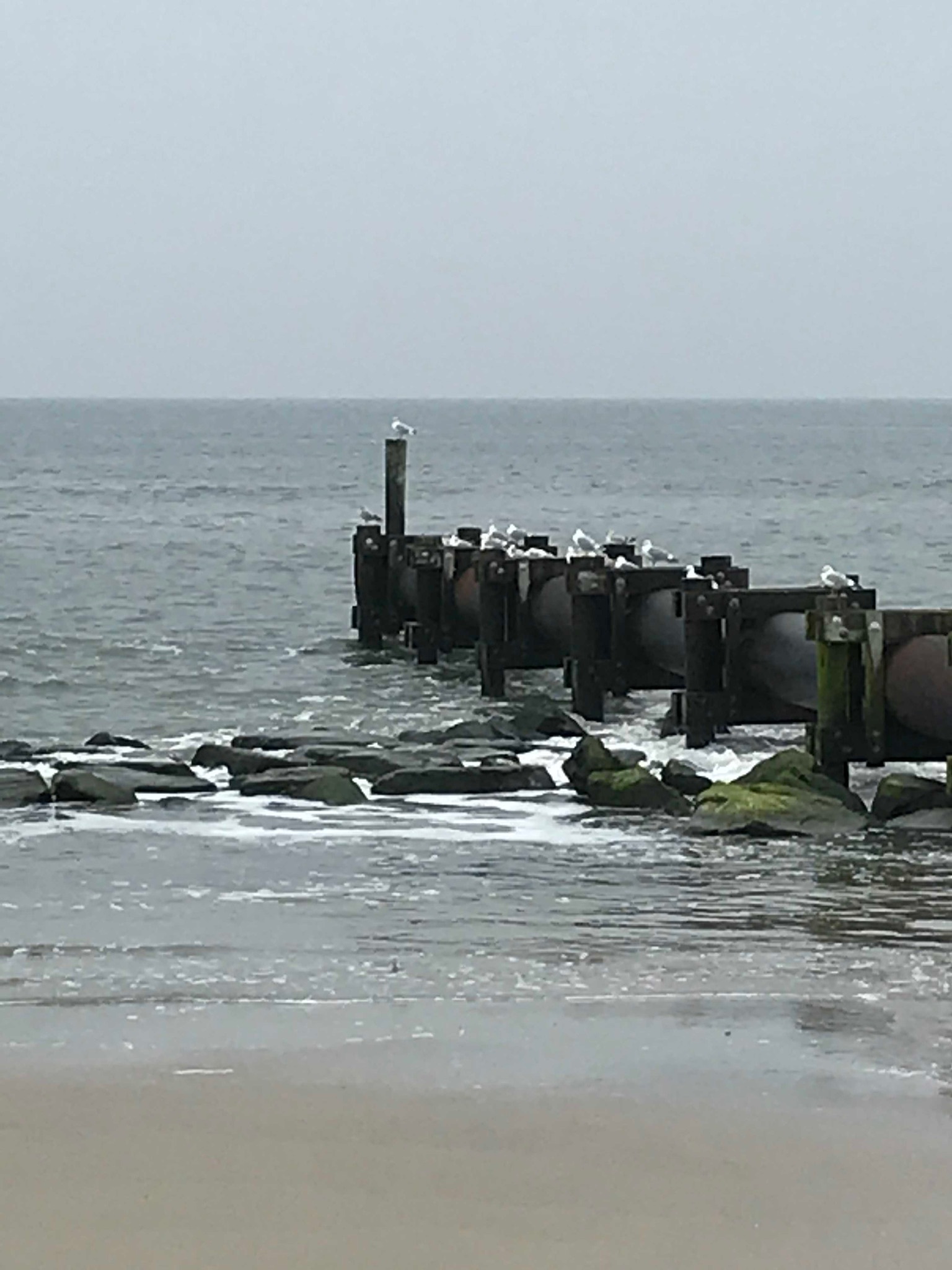 d0269832_07110627.jpeg