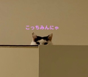 c0342535_15390786.jpeg