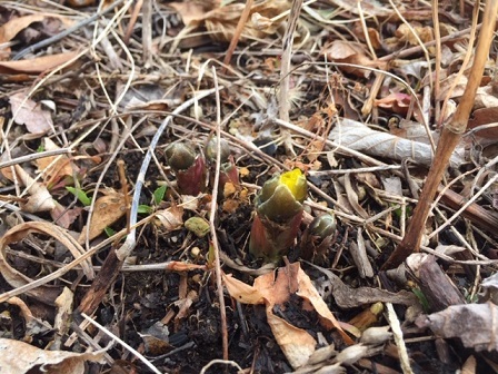 a0272241_15030750.jpeg