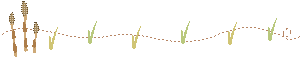 a0305046_11251892.gif