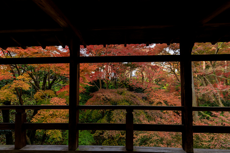 京の紅葉2018　秋色の龍吟庵（東福寺塔頭）_f0155048_22343775.jpg