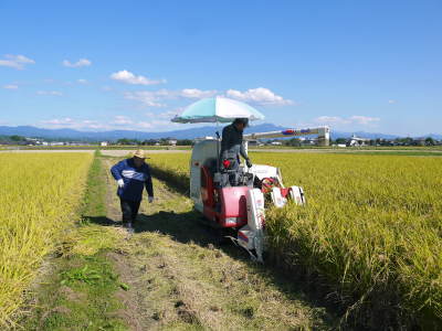 熊本県菊池市七城町『砂田のこだわりれんげ米』 頑固おやじから息子たちへ!今年も変わらぬ栽培方法(前編)_a0254656_18322045.jpg