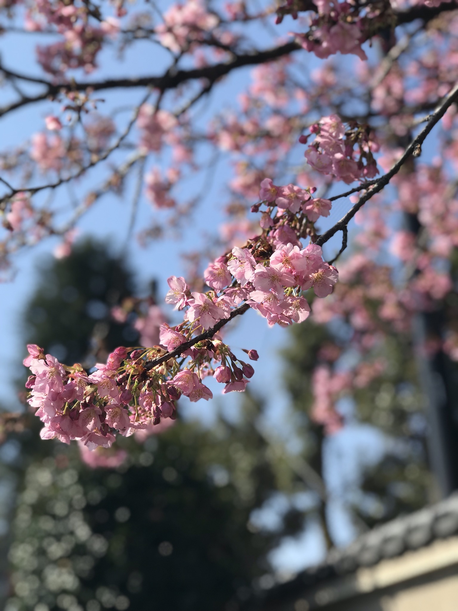 a0235158_12494571.jpeg