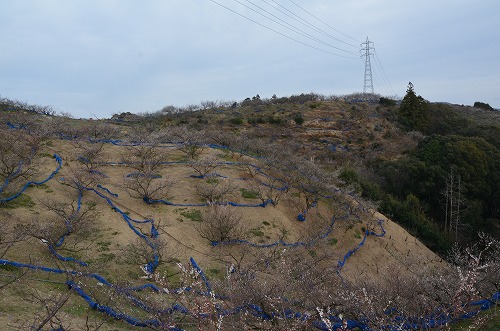 d0247262_959418.jpg