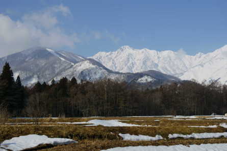 融雪が進み、ザゼンソウん゛開花。_a0071470_15595906.jpg