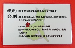 b0140270_8172471.jpg